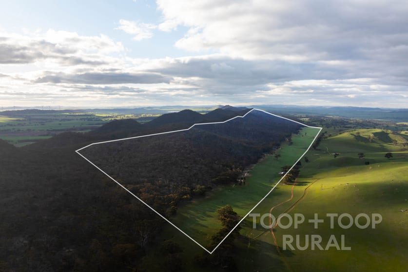 Click to view all images 1705 Ngapala Road Ngapala SA 5374 - Image 2