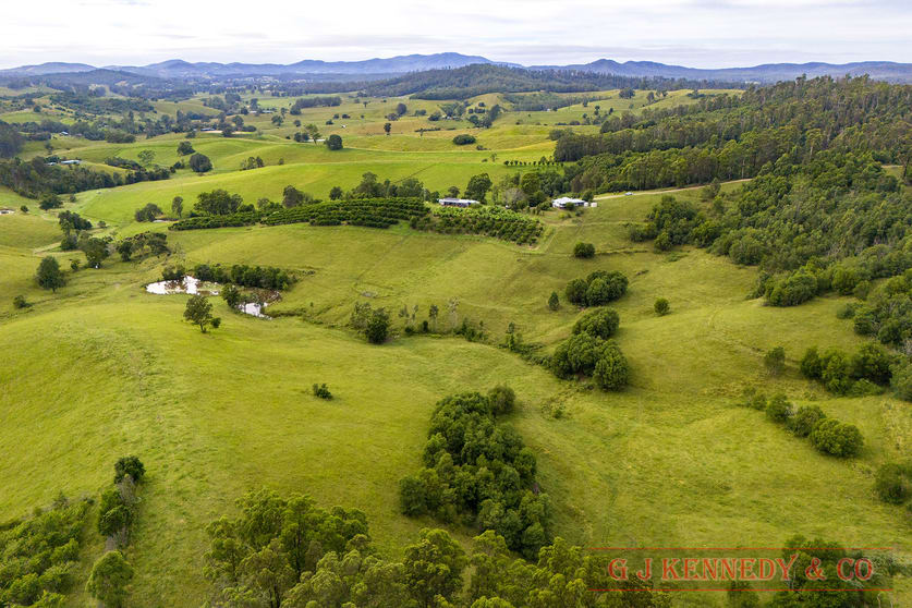 Click to view all images 344 Williams Hill Rd Talarm NSW 2447 - Image 2