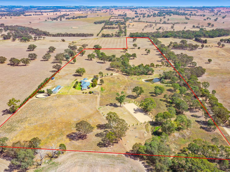Click to view all images 64 Bonnington Rd Kingsvale via Young NSW 2594 - Image 2