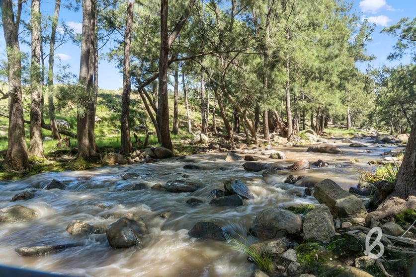 Click to view all images 2148 Mirannie Road Singleton NSW 2330 - Image 3