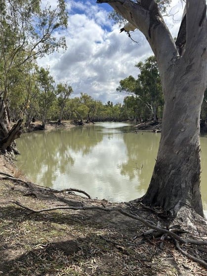 Click to view all images Barham NSW 2732 - Image 1