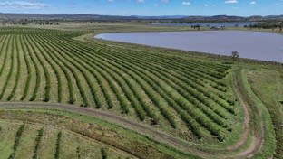 Click to view all images "Yetton" Burnett Highway Gayndah QLD 4625 - Image 1