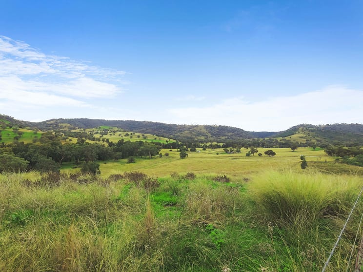Click to view all images 2187 Yarrabin Road Mudgee NSW 2850 - Image 3