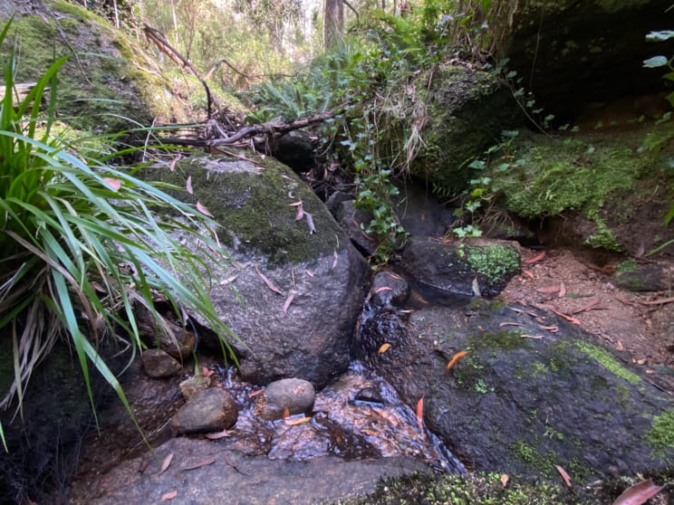 Click to view all images 124 Gumms Road Harolds Cross NSW 2622 - Image 3