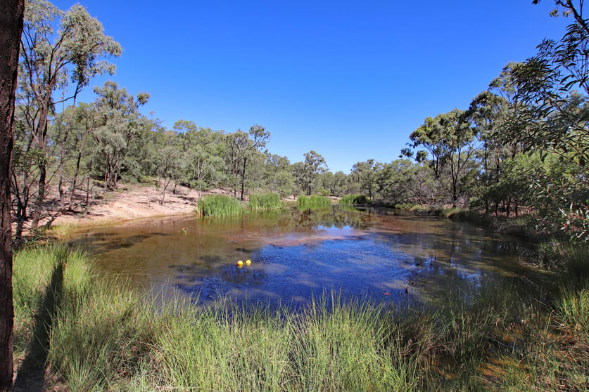 Click to view all images "Alaire" 161 Alaire Drive Isla QLD 4719 - Image 3