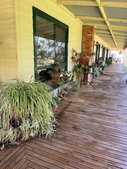 Click to view all images 941 Murphys Lake Road Appin VIC 3579 - Image 1
