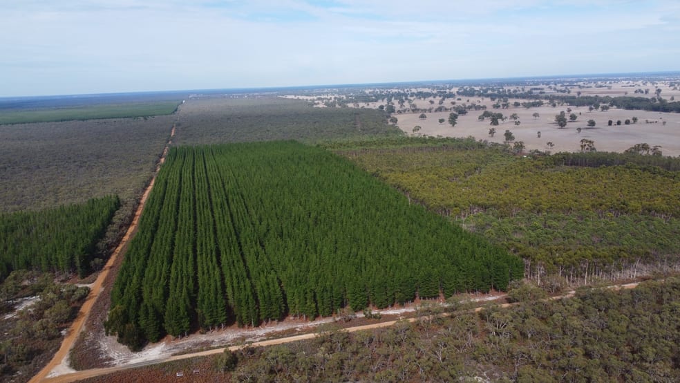 Click to view all images Lot 1 Jim Ryans Road Edenhope VIC 3318 - Image 1