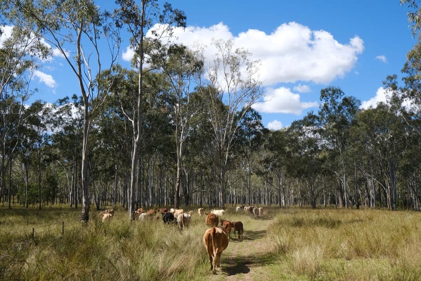 Click to view all images Lot 27 Burnett Highway Cynthia QLD 4627 - Image 1