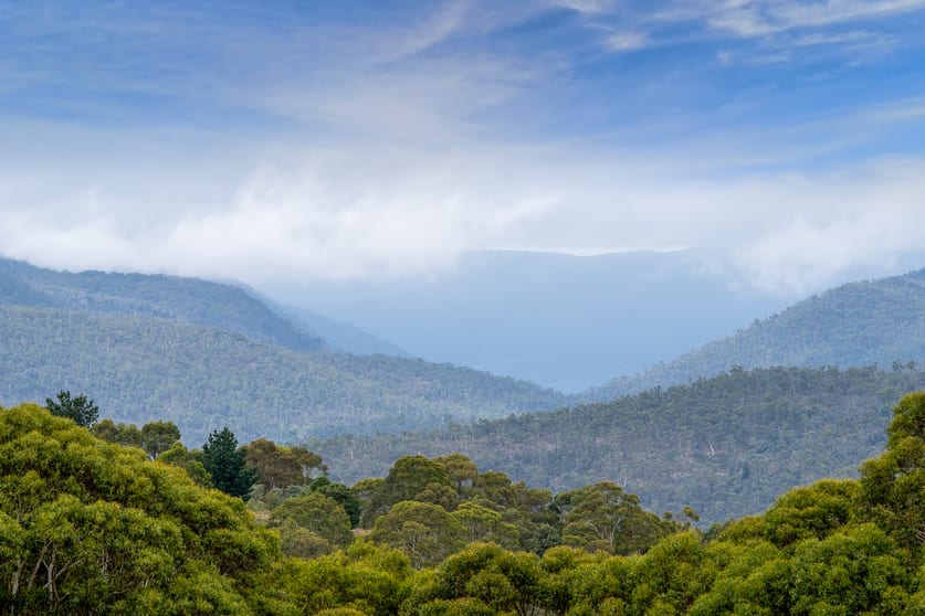 Click to view all images 251 Sheepstation Forest Road Gingkin NSW 2787 - Image 3