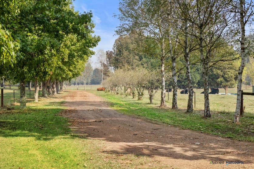 Click to view all images 614 Goulburn Valley Highway Thornton VIC 3712 - Image 3