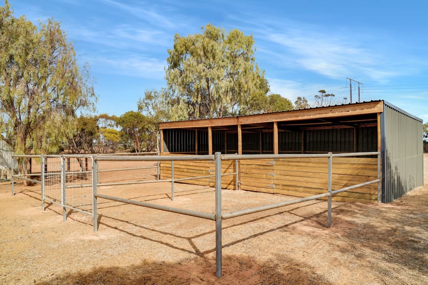 Click to view all images 153 Water Tank Road Owen SA 5460 - Image 3