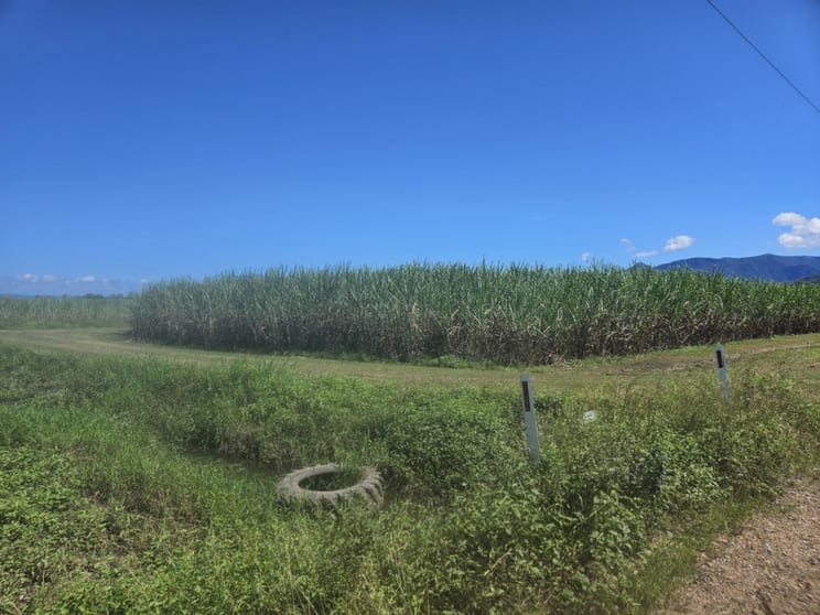 Click to view all images 2/ Hawkins Creek Road Hawkins Creek QLD 4850 - Image 2