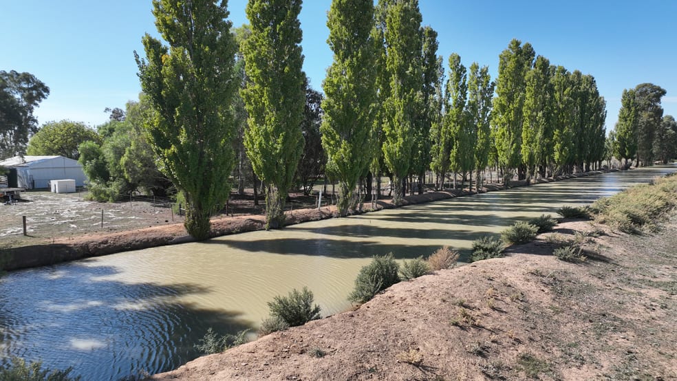 "Morago" 2297 Pretty Pine Road Deniliquin NSW 2710 - Image 3
