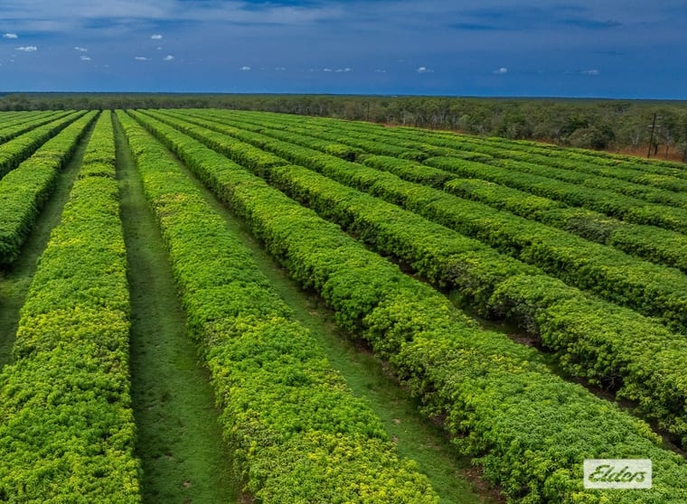 Click to view all images Connelly Road Lambells Lagoon NT 0822 - Image 3
