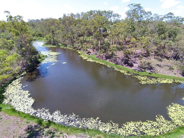 128 Kurths Rd South Kolan QLD 4670 - Image 1