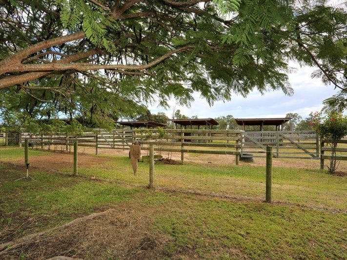 Click to view all images 194 Kalbar Rd South Kolan QLD 4670 - Image 3