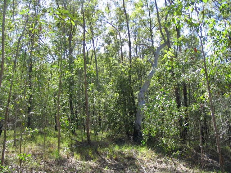 Click to view all images Gin Gin QLD 4671 - Image 3