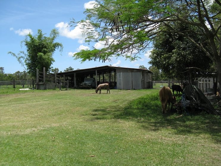 Click to view all images 205 Blairs Road Sharon QLD 4670 - Image 1