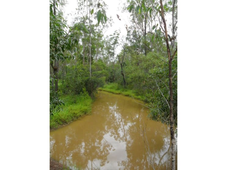 Click to view all images South Bingera QLD 4670 - Image 2