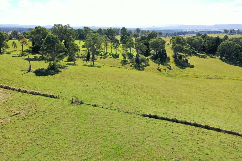 Click to view all images 621 Old Dyraaba Road Casino NSW 2470 - Image 3