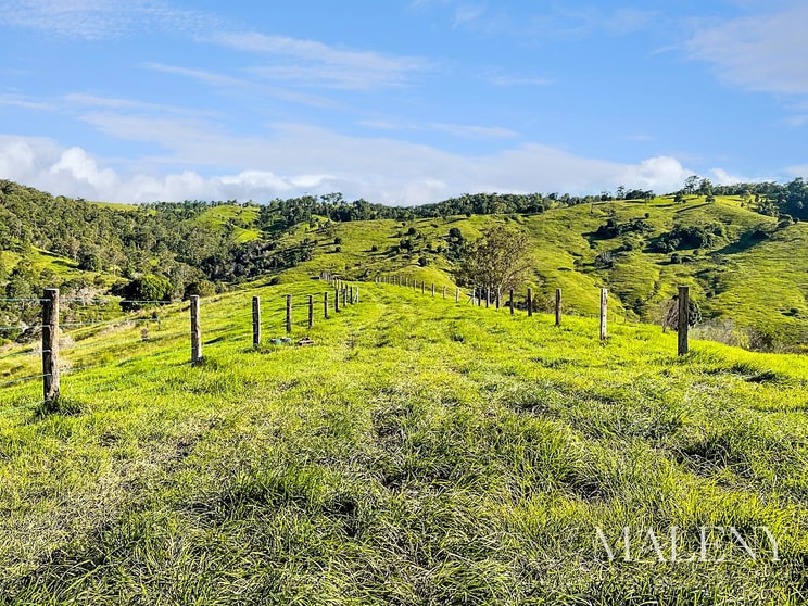 43 Woods Road Mount Mee QLD 4521 - Image 2