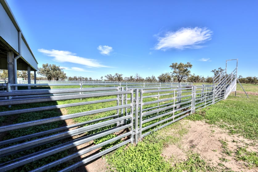Click to view all images Narran Lake Road Brewarrina NSW 2839 - Image 3