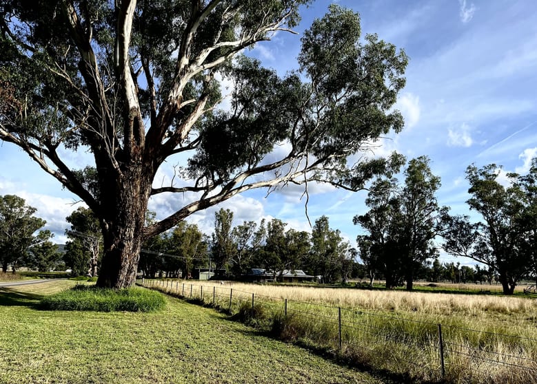 Quirindi NSW 2343 - Image 1