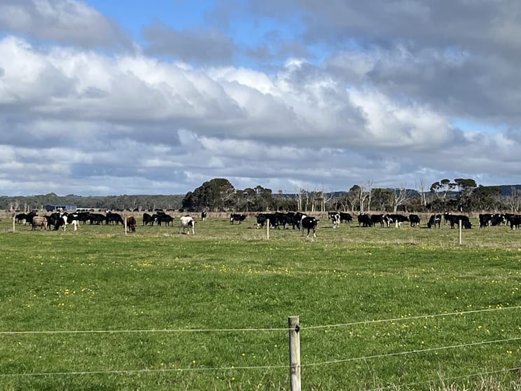 129 & 131 Bens Hill Road Montagu TAS 7330 - Image 2