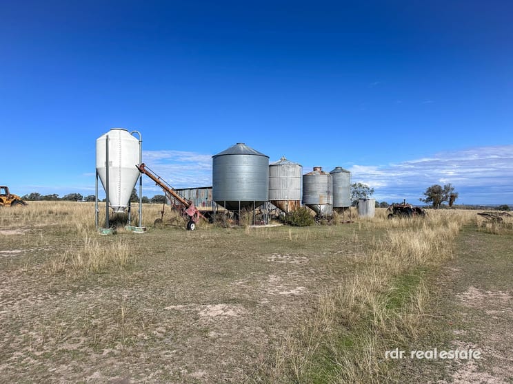 Lot 74 Wells Crossing Road Ashford NSW 2361 - Image 3
