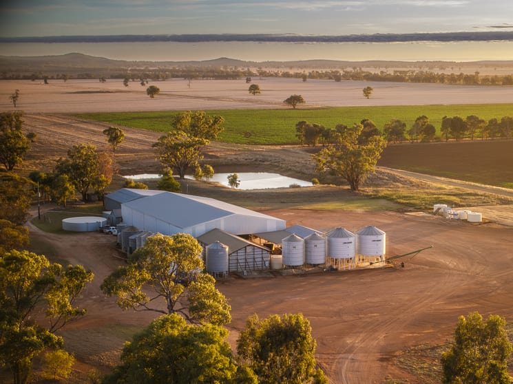 Click to view all images Tara Moira Aggregation Trundle NSW 2875 - Image 3