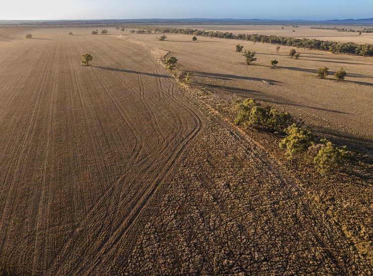 Click to view all images 1489 Carlisle-Trundle Road Trundle NSW 2875 - Image 3