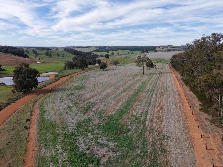 Click to view all images Lot 2639 Elphick-Fleeton Road Sunnyside WA 6256 - Image 3