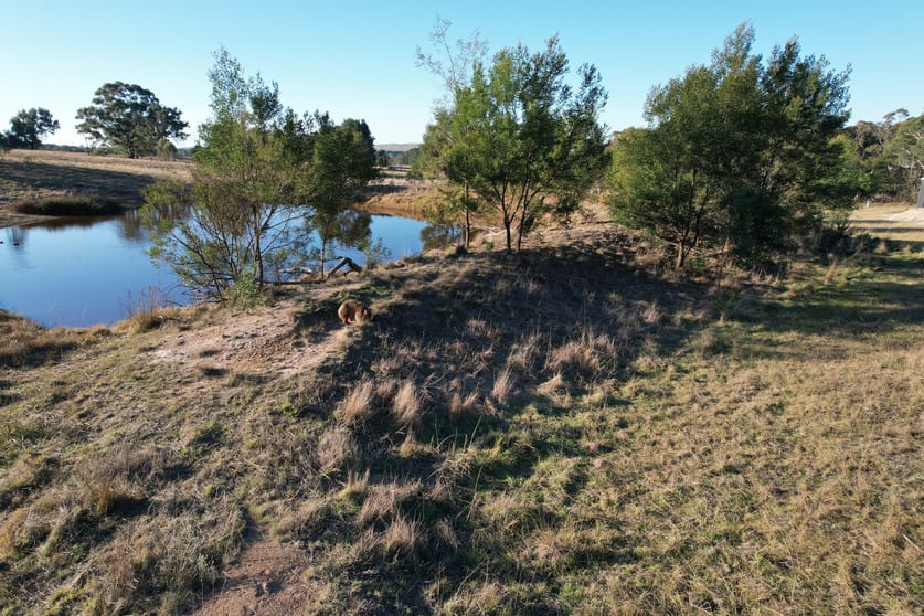 Click to view all images 915 Mount Fairy Road Mount Fairy NSW 2580 - Image 3