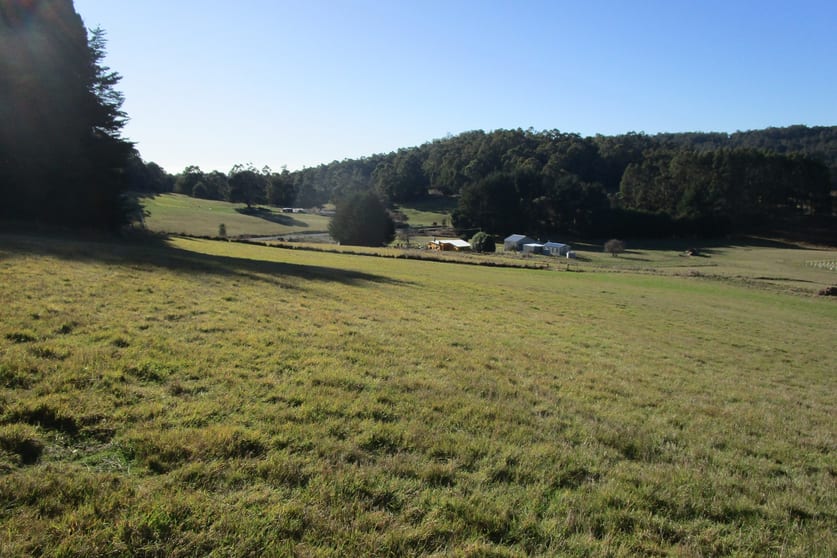 Click to view all images 1951 Wilmot Road Lower Wilmot TAS 7310 - Image 2