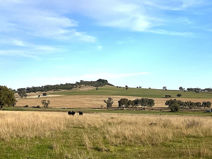 Click to view all images "Thirlmere" 450 Bridges Road Gunnedah NSW 2380 - Image 2
