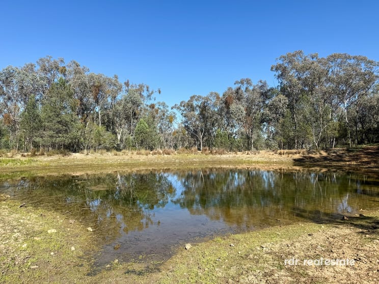 Click to view all images Lot 1 Onus Road, Copeton Inverell NSW 2360 - Image 2