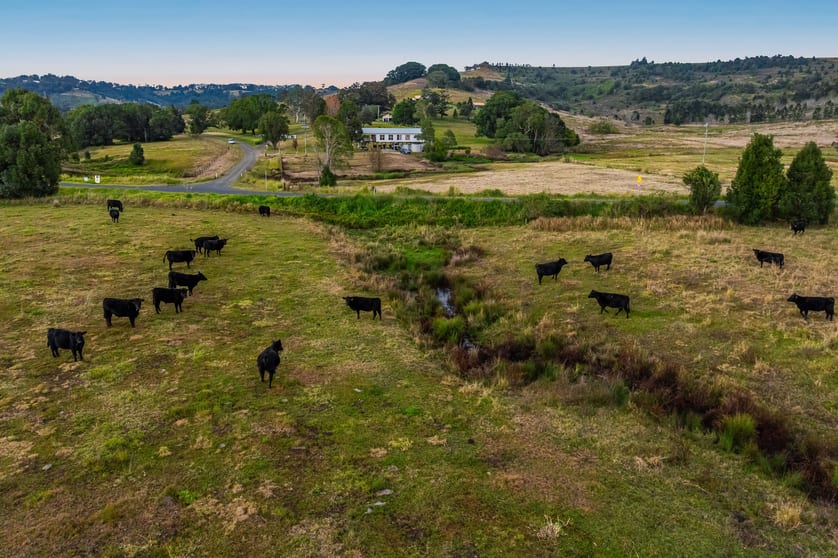 Click to view all images 167 Lockton Road Numulgi NSW 2480 - Image 3