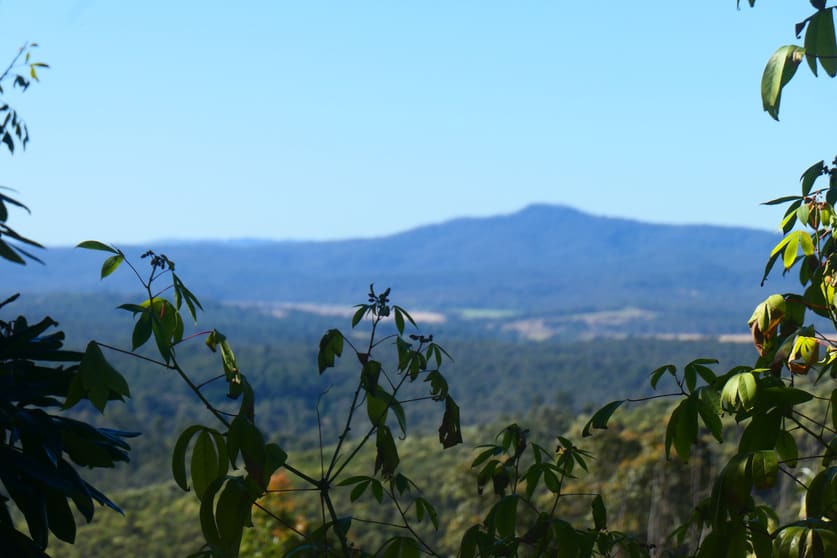 70 Grand View Road Ewingar NSW 2469 - Image 2