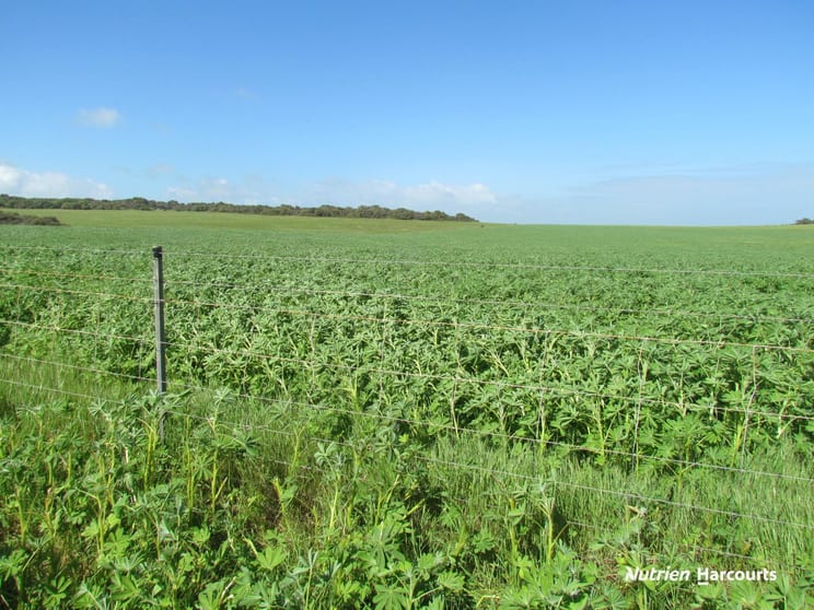 Click to view all images 40 Matsen Road Dongara WA 6525 - Image 3