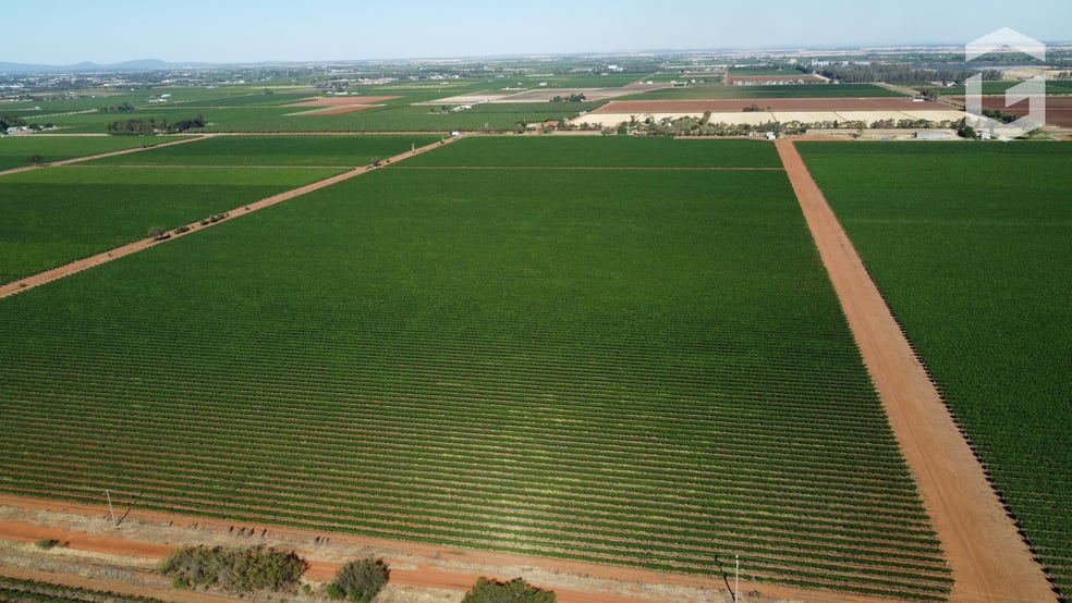 Click to view all images . Mansell Road Hanwood NSW 2680 - Image 2