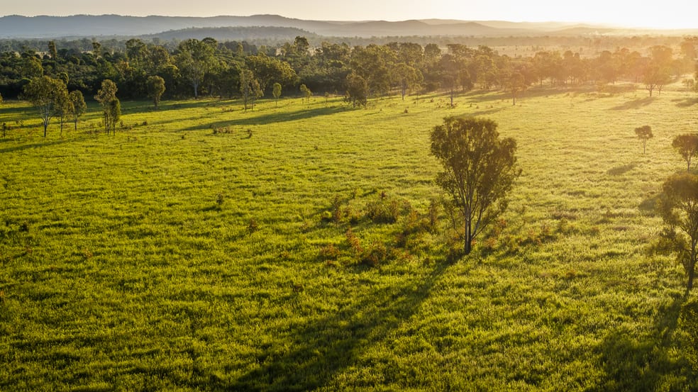 170 Redbank Road Morinish QLD 4702 - Image 3