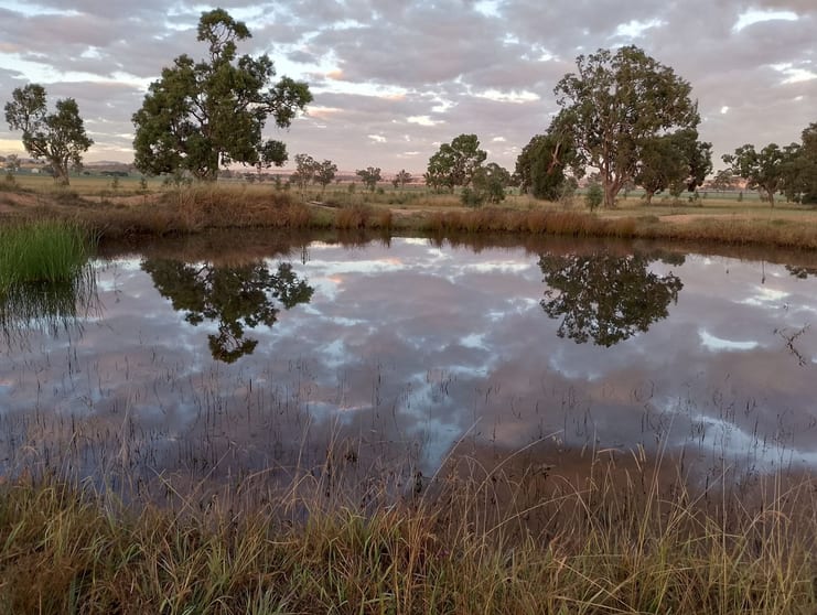 Click to view all images 14317 Golden Highway Dunedoo NSW 2844 - Image 1
