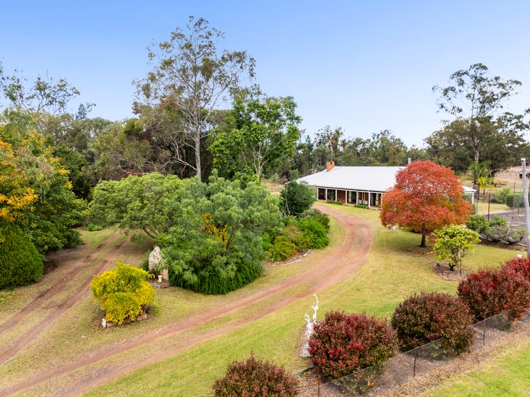 "Linallie" 2263 Greenup Limevale Road Brush Creek QLD 4387 - Image 2