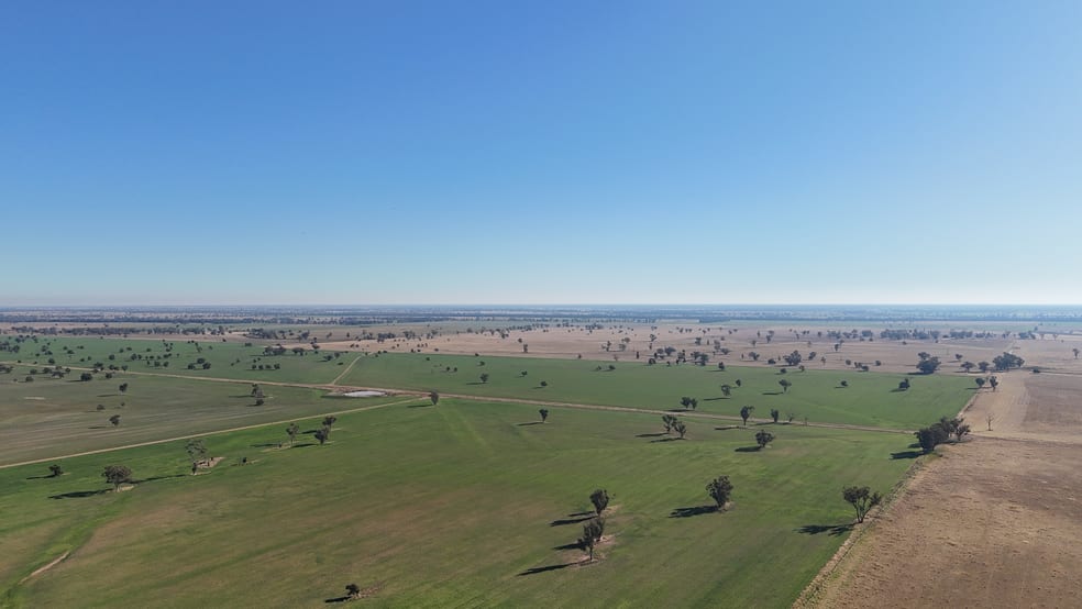 Click to view all images 279 Hotchkiss Road Baradine NSW 2396 - Image 3