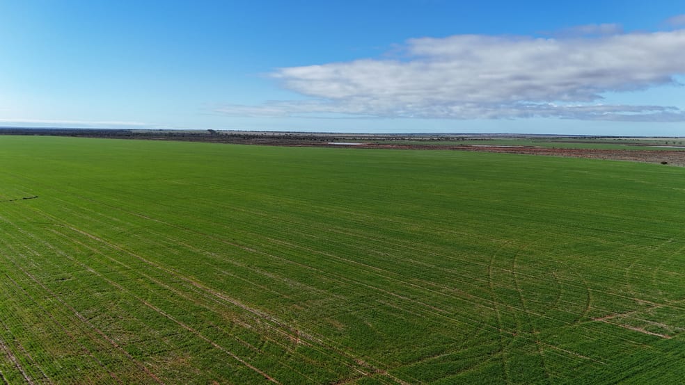 Click to view all images 697 Solomon Road Perenjori WA 6620 - Image 2