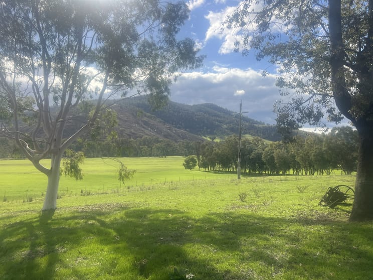 Click to view all images 8243 Murray River Road Walwa VIC 3709 - Image 3