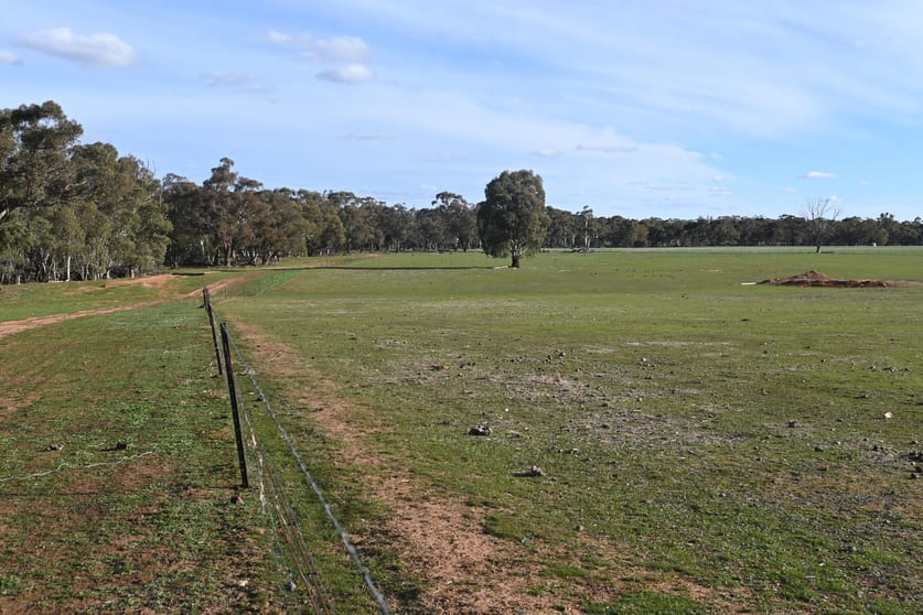 Click to view all images CA, 79 Woolshed Flat Road Woolshed Flat VIC 3518 - Image 1