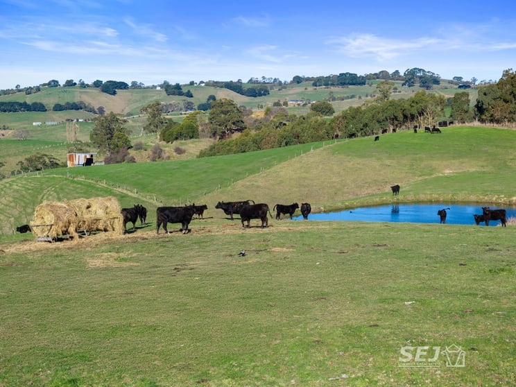 Click to view all images 710 Korumburra - Warragul Road Ranceby VIC 3951 - Image 2