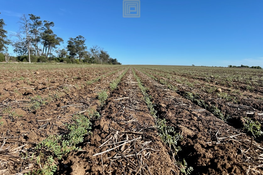Click to view all images 1046 Couradda Road Edgeroi NSW 2390 - Image 2