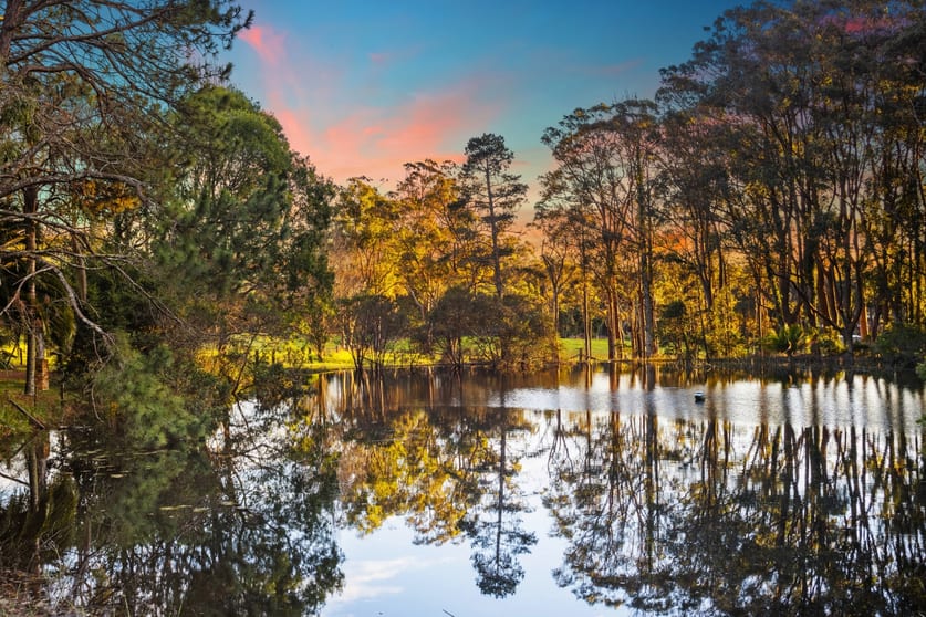 Click to view all images 40 Hensons Road Somersby NSW 2250 - Image 3